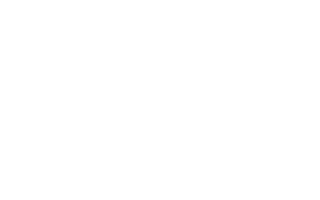 SAN ANTONIO DE FLORES CIFRAS